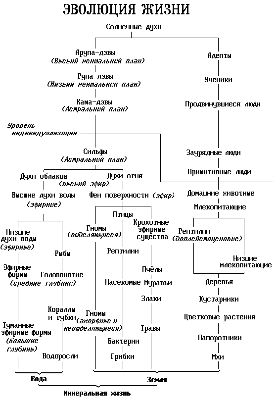 Эволюция жизни